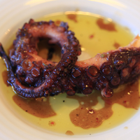 Izgara Ahtapot / Grilled Octopus